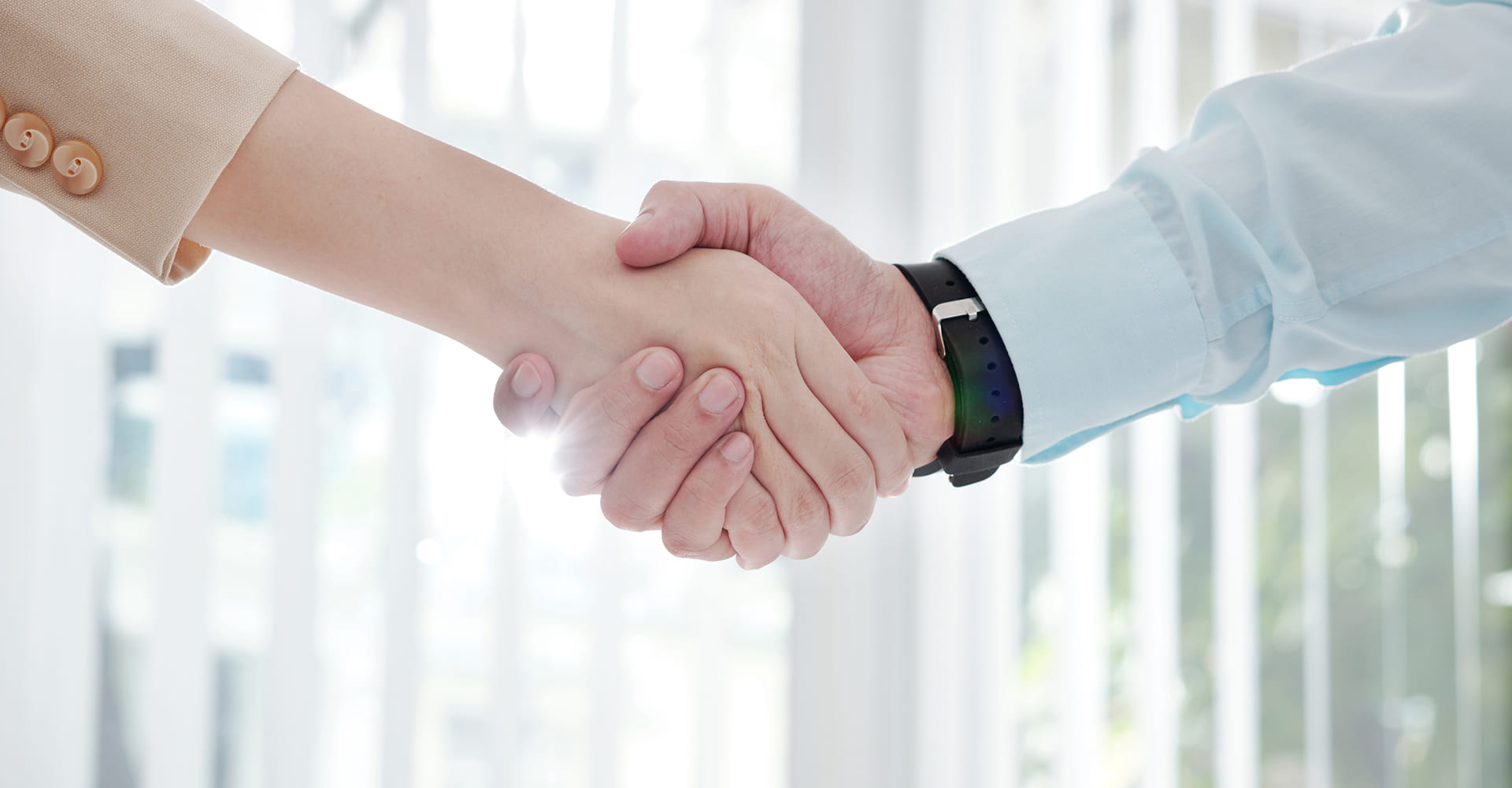 Business meeting handshake